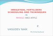 Irrigation and fertigation tecgnique in mango and apple