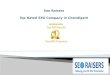 Seoraisers | SEO Web Design, Development Company Chandigarh