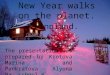 New year in finnland