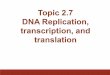 2.7 replication, transcription, translation