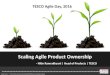 Scaling Agile Product Ownership In A Large Enterprise
