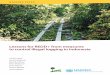 Lessons for REDD+ from measures to control illegal logging in 
