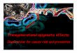 Transgenerational epigenetic effects: Implications for cancer