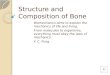 1 Bone Structure and Composition