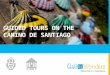 Guided tours on the camino de santiago
