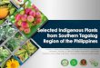 Selected Indigenous Plants from Southern Tagalog Region of the Philippines