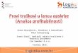 LIM Samobor - 5. Supply Chain konferencija