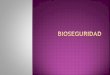 8A- Bioseguridad