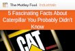 5 Fascinating Facts About Caterpillar You Probably Didn't Know