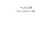 Fundamentals of Mule Esb