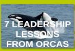 7 Leadership lessons from orcas