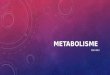Presentation1 metabolisme