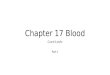Chapter 17 blood q and a part 1