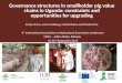 Governance structures in smallholder pig value chains in Uganda: Constraints and opportunities for upgrading