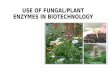 Use of fungal/plant enzymes in biotechnology