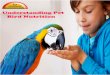 Understanding Pet Bird Nutrition