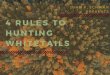 4 Rules to Hunting Whitetails by John P. Schwan