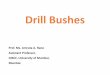 Drill bushes