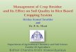Crop residue management in rice based cropping system