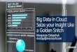 Big Data in Cloud: Seize your Insight Like a Golden Snitch (Margaret Ostapchuk Technology Stream)