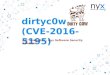 dirtyc0w - CVE-2016-5195