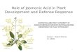 ROLE OF JASMONIC ACID IN PLANT DEVELOPMENT &DEFENCE MECHANISM