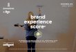 Brand Experience Score Wave 3 - Le secteur du bricolage-jardinage