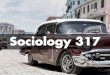 Sociology 317
