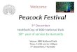 Peacock Festival