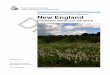 New England Pollinator Habitat Installation Guide