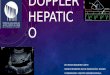 Doppler hepatico