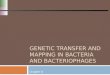 Genetic Analysis and Mapping in Bacteria and Bacteriophages