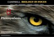 Biology in Focus - Chapter 8