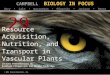 Biology in Focus - Chapter 29