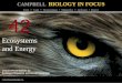 Biology in Focus - Chapter 42