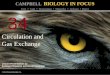 Biology in Focus - Chapter 34