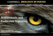 Biology in Focus - Chapter 31