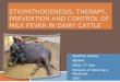 Etiopathogenesis, therapy, prevention and control of milk fever in dairy cattle