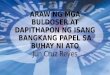 Pagsusuri ng Araw ng mga Buldoser at Dapithapon ng isang bangkang papel sa buhay ni ato