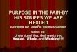 Purpose in the paiin by his stripes we are ss