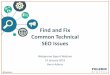 How To Find and Fix Common Technical SEO Issues by Barry Adams