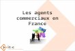 Agents commerciaux en France