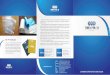 Mẫu Thiết kế Brochure công ty Thien Phu SI Dạng tờ gập 3