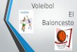 Fundamentos tecnicos del voleibol y baloncesto