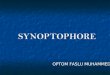 Synoptophore 2