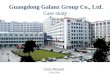 Galanz Group Co. case study report