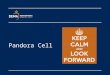 Pandora Cell.  Danish emergency management agency