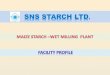 SNS Corn starch Profile