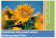 Kuantisasi Gray Level untuk Enhancement Citra