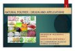NATURAL POLYMER - ORIGIN AND APPLICATIONS
